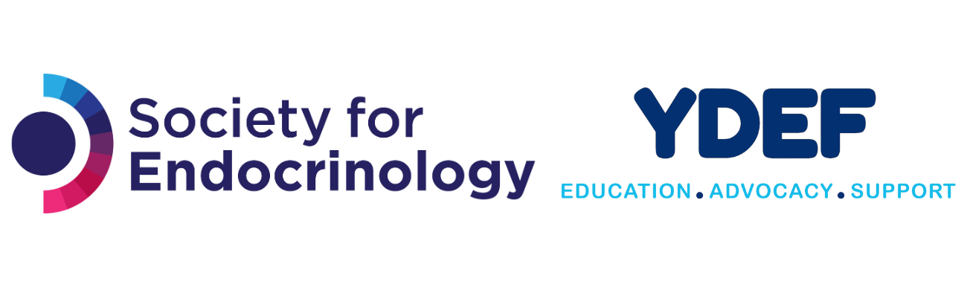 Image featuring the Society for Endocrinology (SfE) and Young Diabetologists and Endocrinologists’ Forum (YDEF) logos